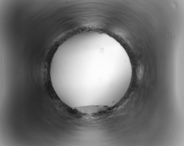 X0000088130968200706111404