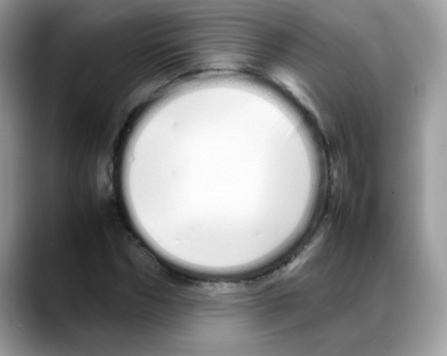 X0000088130970200706111404