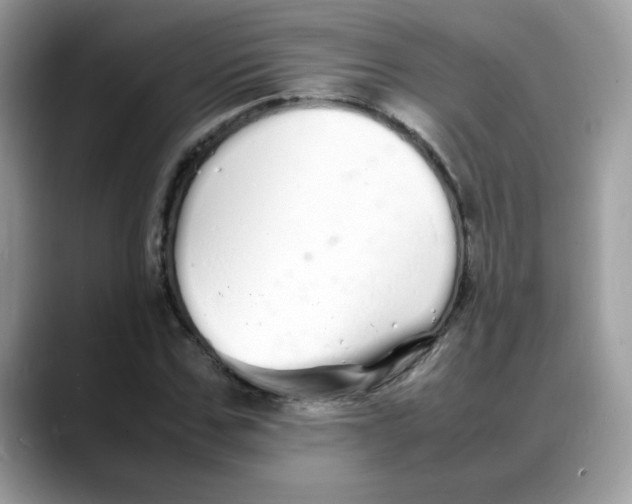 X0000088130971200706111404