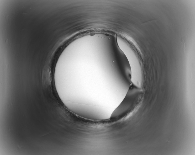 X0000088130973200706111404