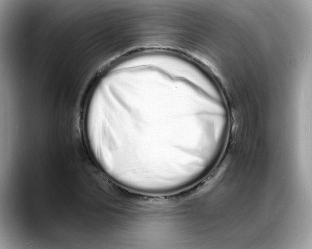 X0000088130974200706111404