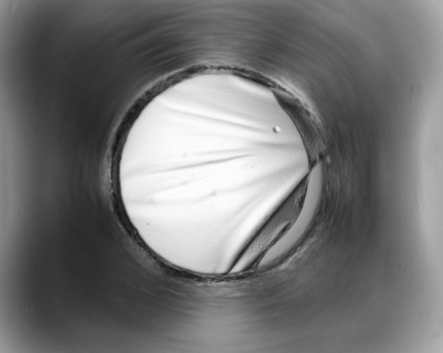 X0000088130976200706111404