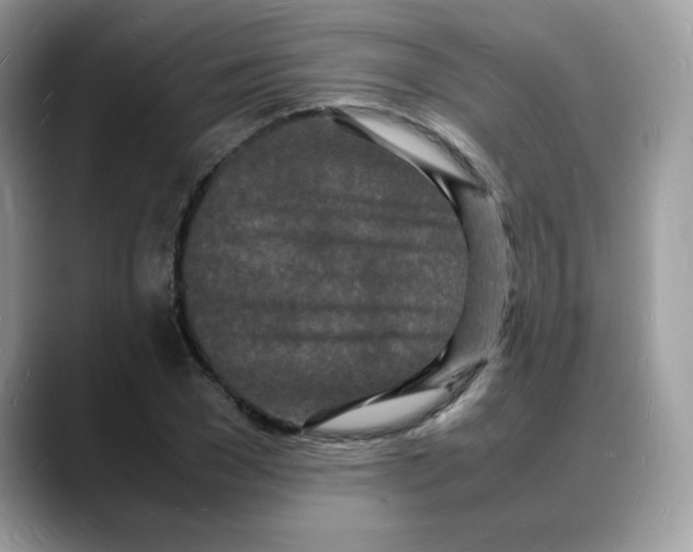 X0000088130977200706111404