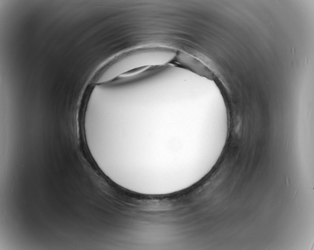 X0000088130980200706111404