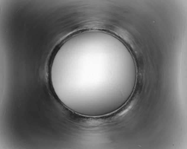 X0000088130981200706111404