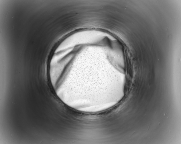 X0000088130982200706111404