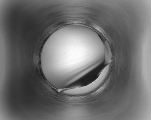 X0000088130985200706111404