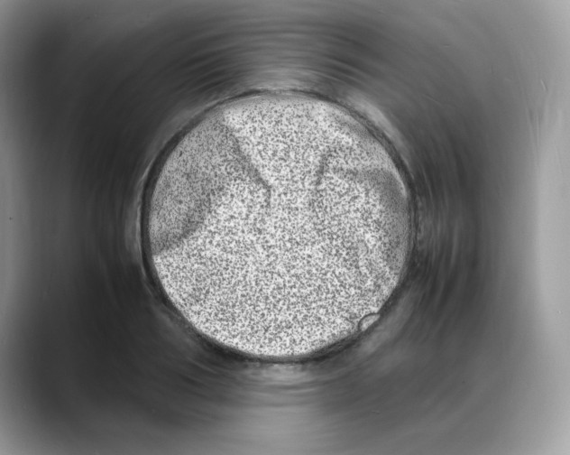 X0000088130986200706111404