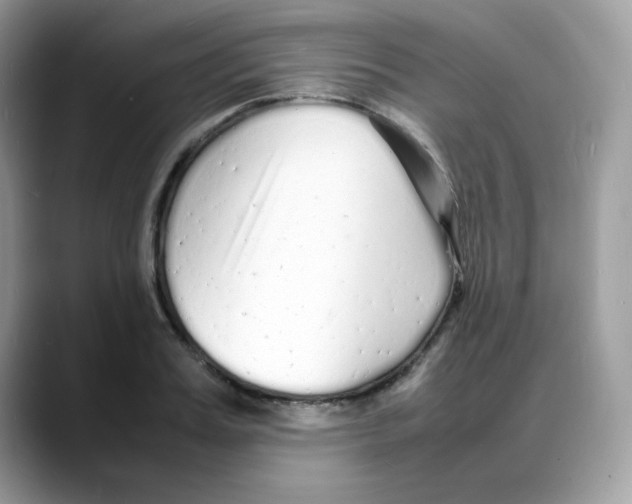 X0000088130987200706111404