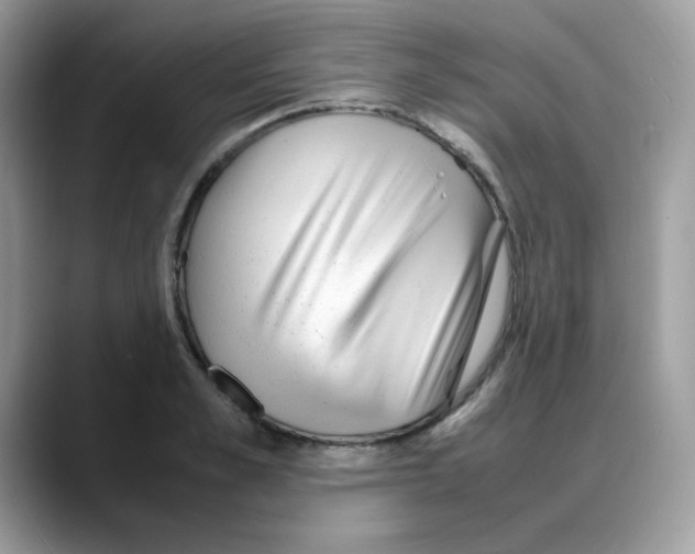 X0000088130989200706111404