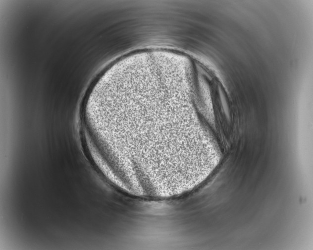 X0000088130990200706111404