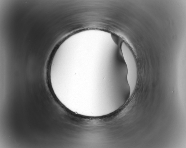 X0000088130991200706111404