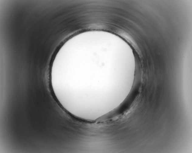 X0000088130992200706111404