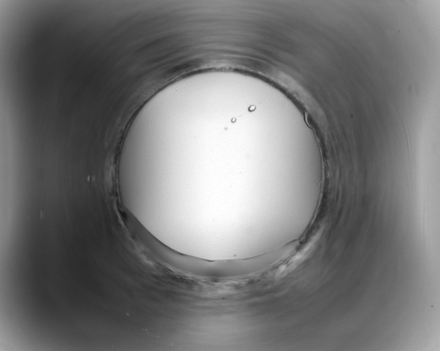 X0000088130993200706111404