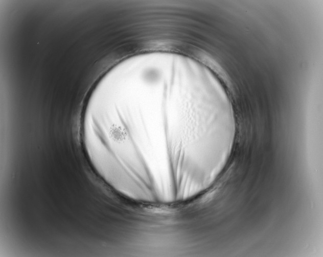 X0000088130994200706111404