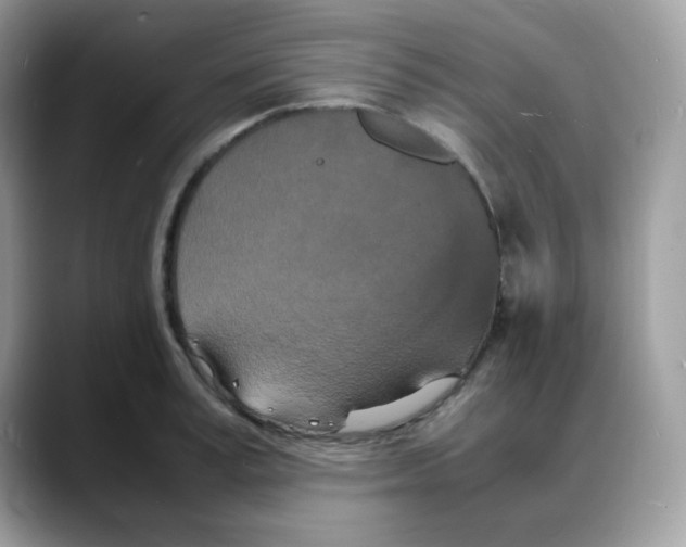 X0000088130995200706111404