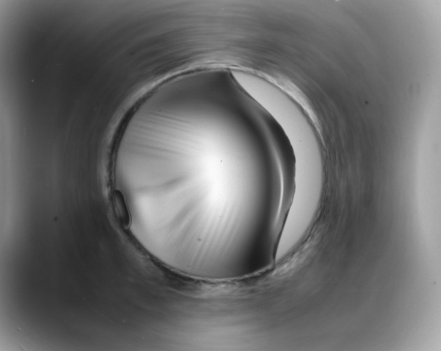 X0000088130997200706111404