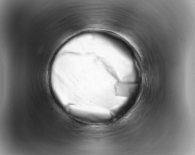 X0000088130998200706111404