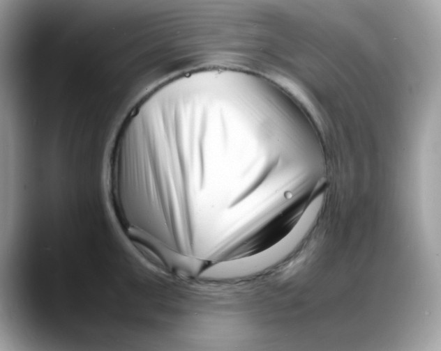 X0000088130999200706111404