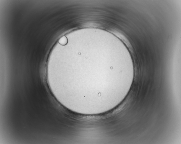 X0000088131000200706111404