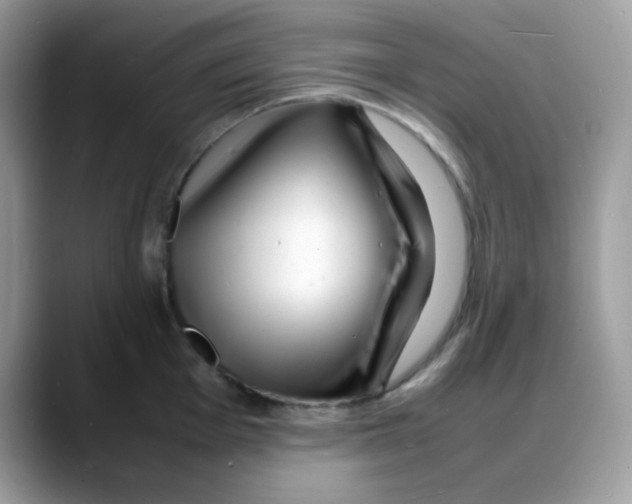 X0000088131001200706111404