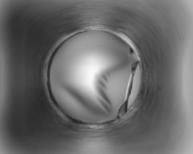 X0000088131005200706111404