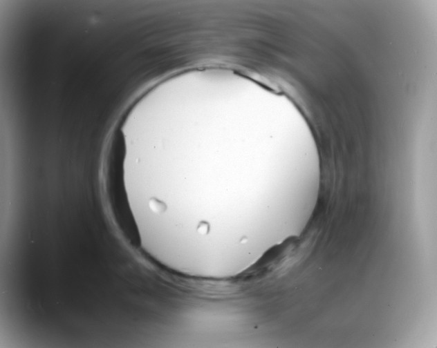 X0000088131007200706111404