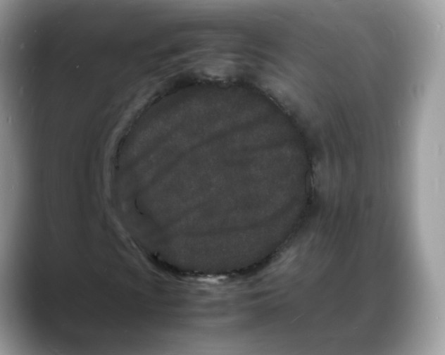 X0000088131009200706111403