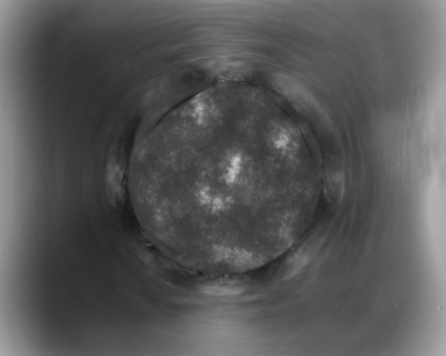 X0000088131010200706111403