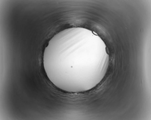 X0000088131012200706111403