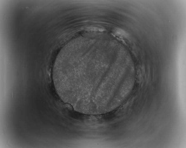 X0000088131013200706111403