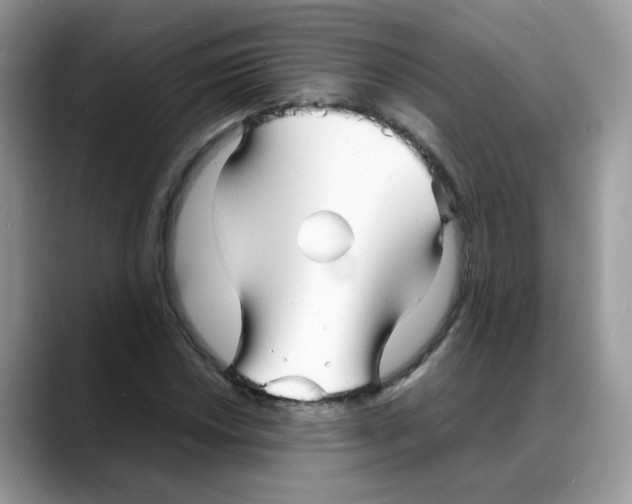 X0000088131018200706111403