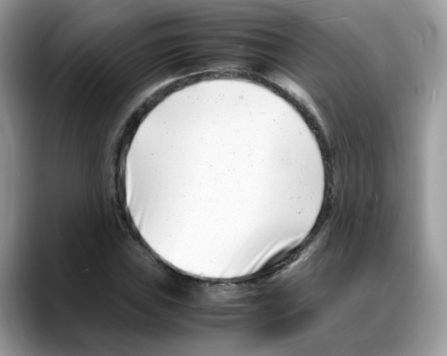 X0000088131019200706111403