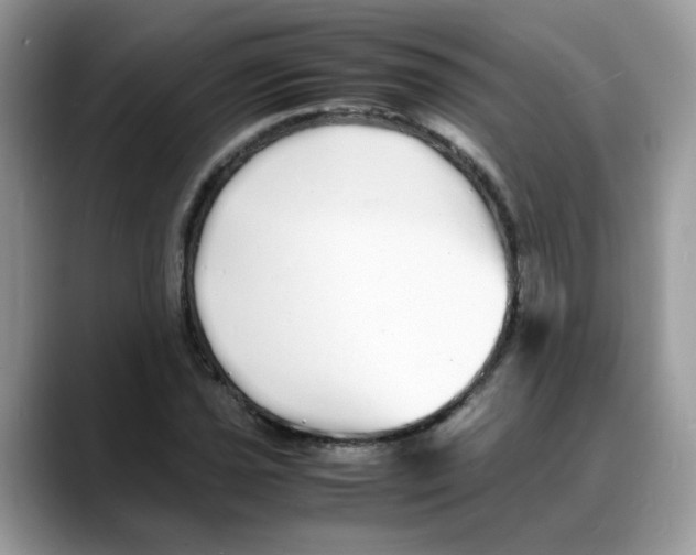 X0000088131021200706111403