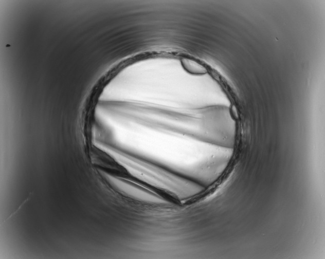 X0000088131022200706111403