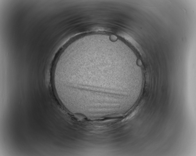 X0000088131023200706111403