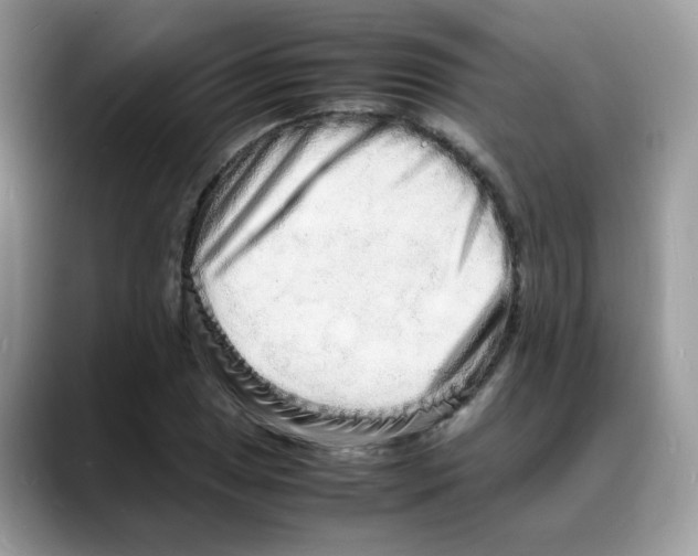 X0000088131025200706111403