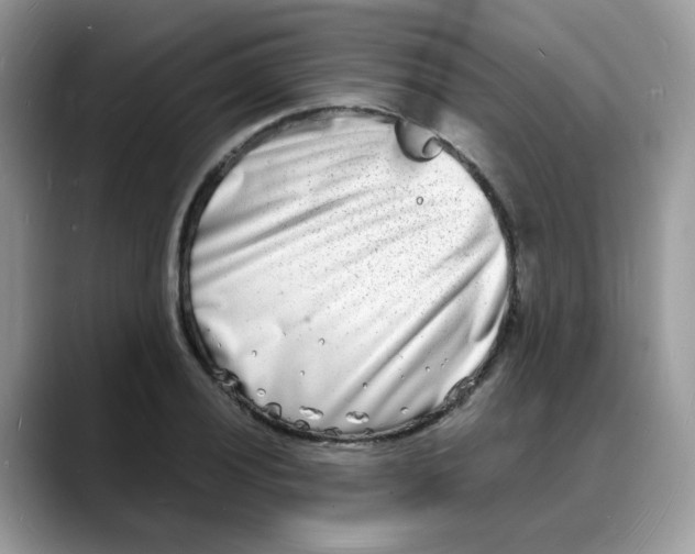 X0000088131028200706111403