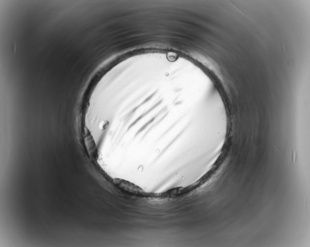 X0000088131029200706111403