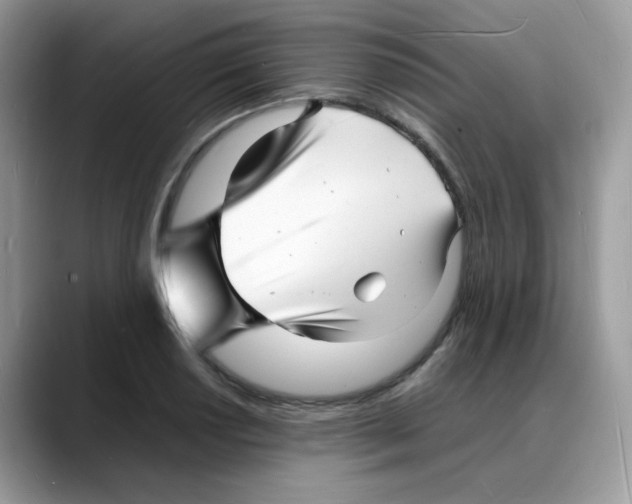 X0000088131034200706111404