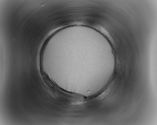 X0000088131035200706111404