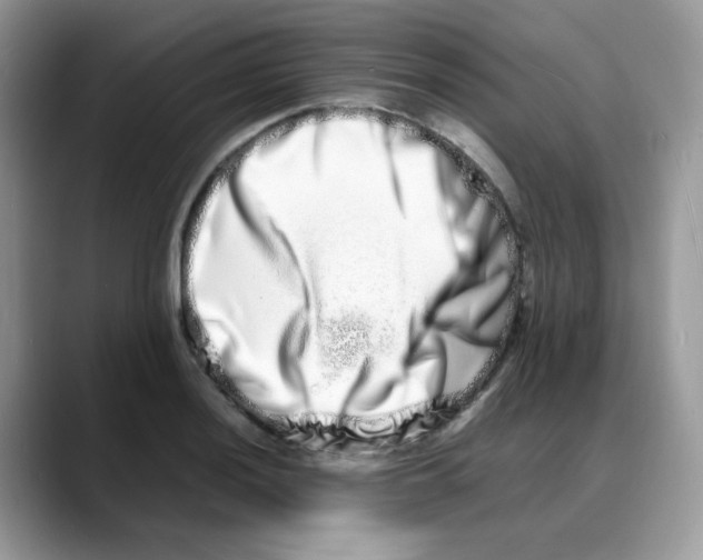 X0000088131036200706111404