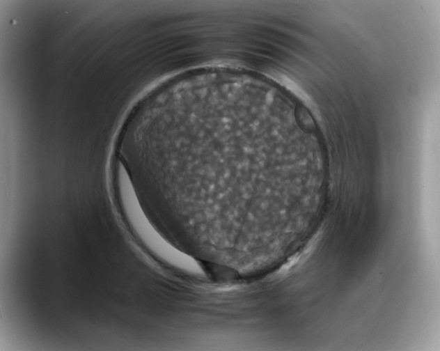 X0000088131037200706111404