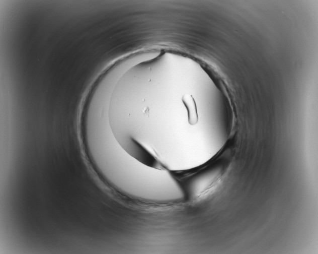 X0000088131038200706111404