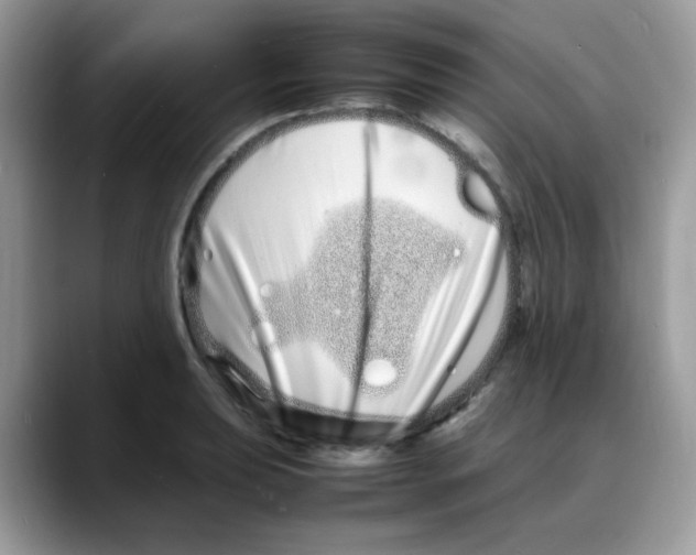 X0000088131039200706111404