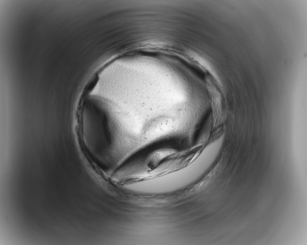 X0000088131042200706111404