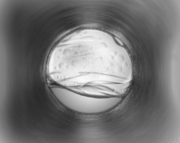 X0000088131044200706111404