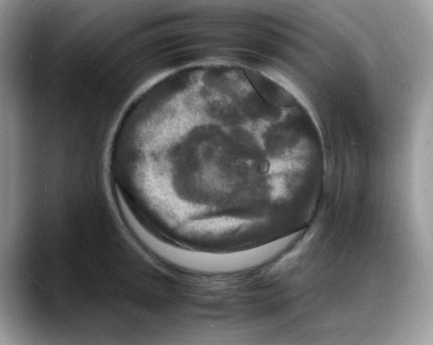 X0000088131045200706111404