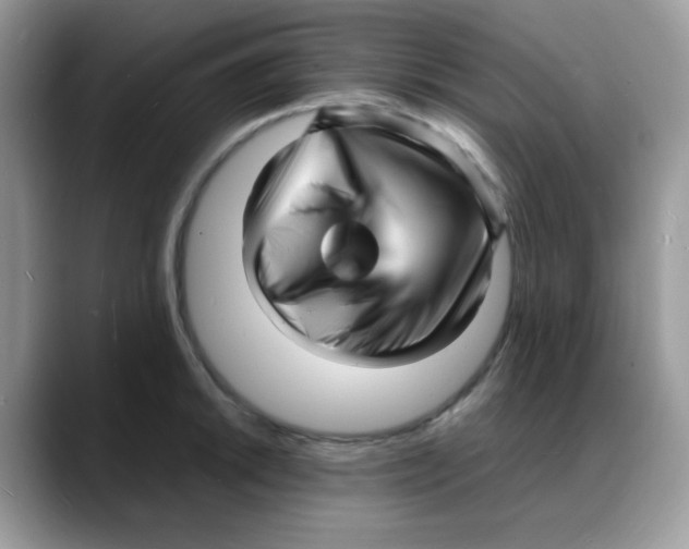 X0000088131046200706111404