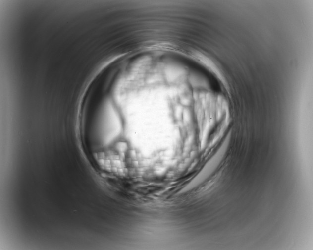 X0000088131050200706111404